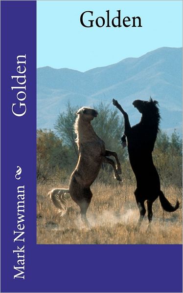 Golden - Mark Newman - Books - CreateSpace Independent Publishing Platf - 9781463736163 - August 2, 2011