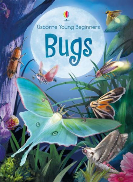 Cover for Emily Bone · Bugs - Young Beginners (Hardcover bog) (2016)