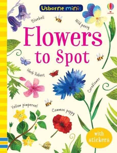 Cover for Kirsteen Robson · Flowers to Spot - Usborne Minis (Paperback Bog) (2019)