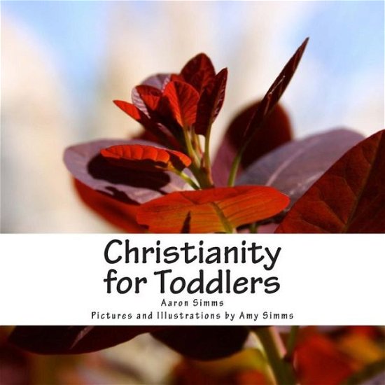 Cover for Rev Aaron Simms · Christianity for Toddlers (Pocketbok) (2013)
