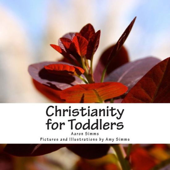 Cover for Rev Aaron Simms · Christianity for Toddlers (Paperback Book) (2013)