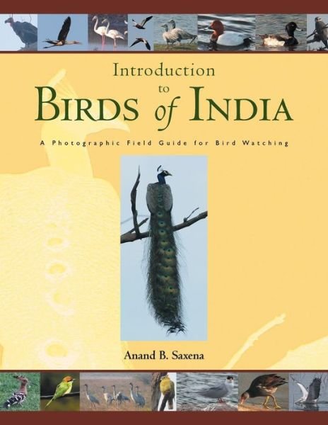 Cover for Anand · Birds of India: a Photographic Field Guide for Bird Watching (Paperback Bog) (2015)