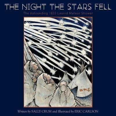 Cover for Sally Crum · The Night the Stars Fell (Pocketbok) (2018)