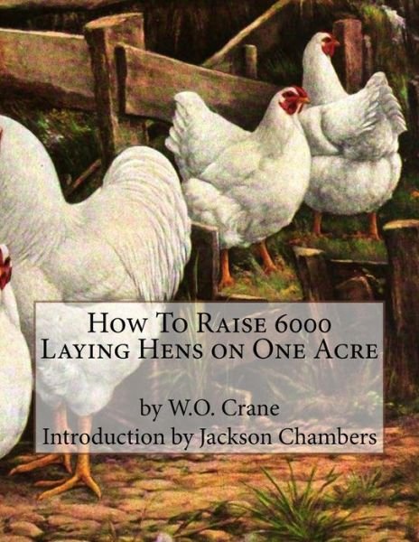 Cover for W O Crane · How To Raise 6000 Laying Hens on One Acre (Pocketbok) (2016)