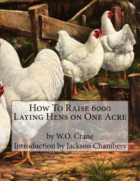 Cover for W O Crane · How To Raise 6000 Laying Hens on One Acre (Taschenbuch) (2016)