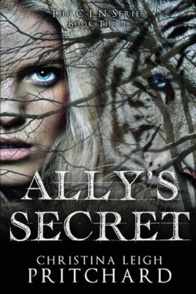 Cover for Christina Leigh Pritchard · Ally's Secret (Paperback Book) (2020)