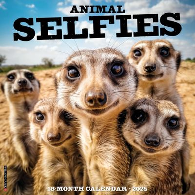 Cover for Willow Creek Press · Animal Selfies 2025 12 X 12 Wall Calendar (Calendar) (2024)