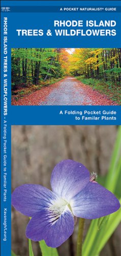 Cover for James Kavanagh · Rhode Island Trees &amp; Wildflowers: a Folding Pocket Guide to Familiar Species (Pocket Naturalist Guide Series) (Pamphlet) [Lam Chrt edition] (2017)