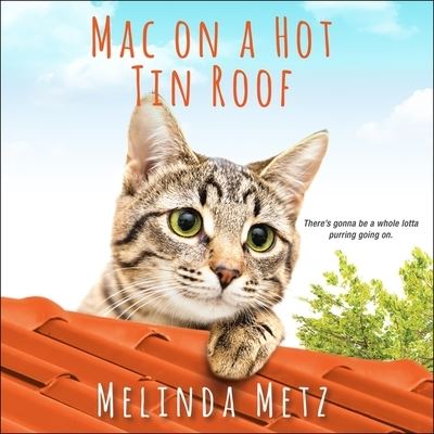 Mac on a Hot Tin Roof - Melinda Metz - Music - HIGHBRIDGE AUDIO - 9781665118163 - November 26, 2019