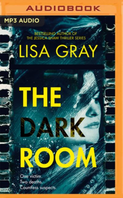 Cover for Lisa Gray · The Dark Room (CD) (2022)