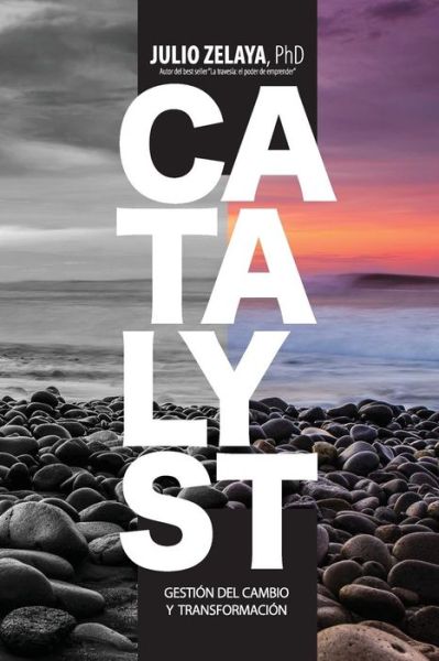 Cover for Julio Zelaya · Catalyst (Paperback Book) (2018)