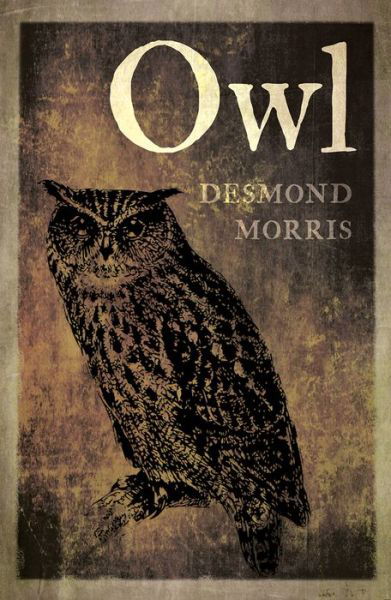 Owl - Desmond Morris - Książki - Reaktion Books - 9781780239163 - 16 kwietnia 2018