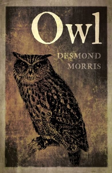 Owl - Desmond Morris - Bøger - Reaktion Books - 9781780239163 - 16. april 2018