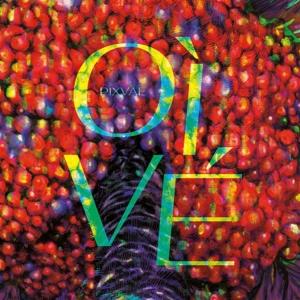 Cover for Pixvae · Oi Ve (CD) (2023)