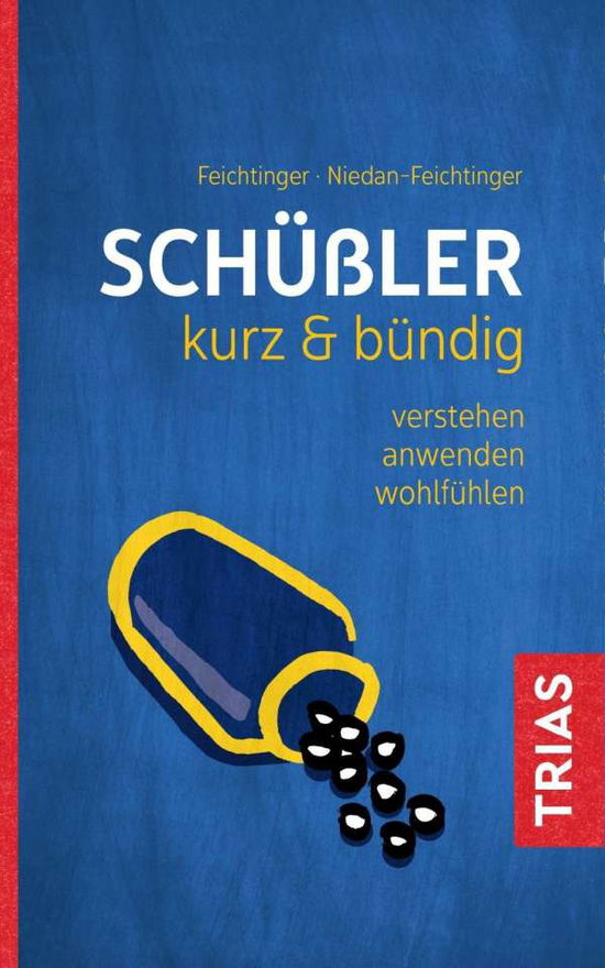 Cover for Feichtinger · Schüßler kurz &amp; bündig (Book)