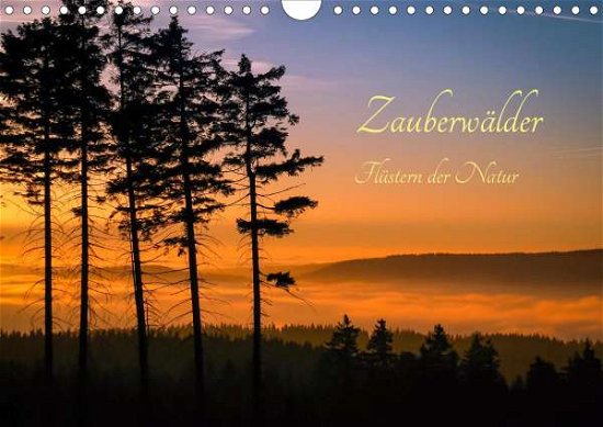 Cover for Pi · Zauberwälder - Flüstern der Natur (W (Buch)