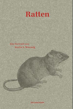 Cover for Karin S. Wozonig · Ratten (Book) (2024)