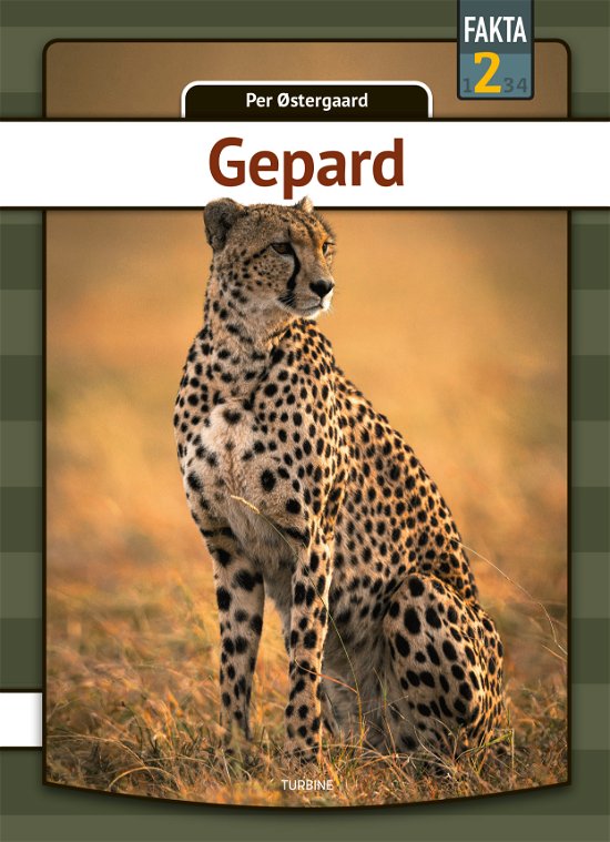 Cover for Per Østergaard · Fakta 2: Gepard (Hardcover bog) [1. udgave] (2021)