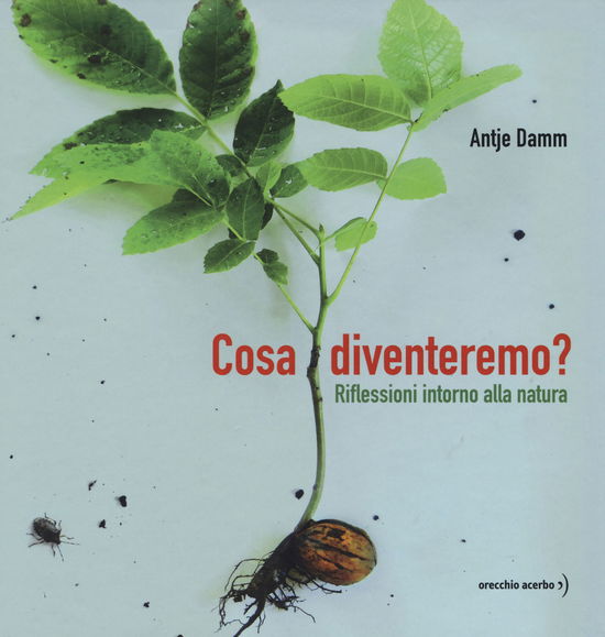 Cover for Antje Damm · Cosa Diventeremo? Riflessioni Intorno Alla Natura. Ediz. A Colori (Book)