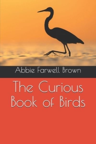 Cover for Abbie Farwell Brown · The Curious Book of Birds (Paperback Book) (2020)