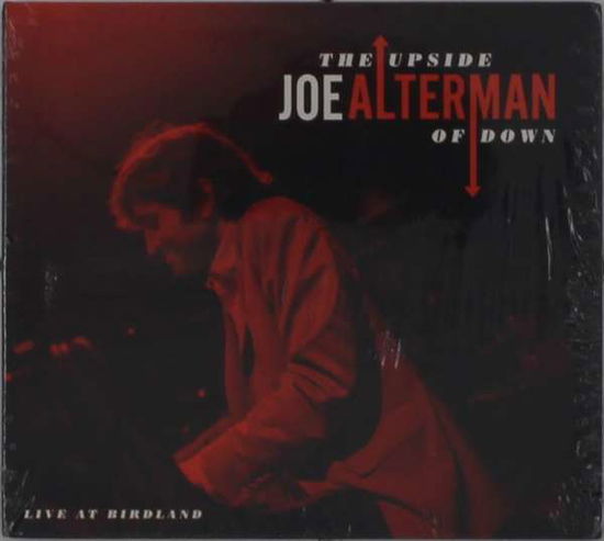 Upside Of Down - Joe Alterman - Music - ROPEADOPE - 0748926814164 - August 21, 2021