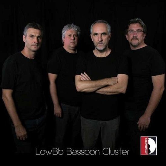 Lowbb Bassoon Cluster - Betta / Mandolesi / Pisani - Muziek - STV - 8011570371164 - 5 april 2019