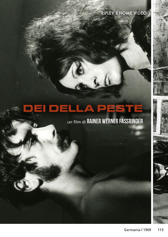 Cover for Dei Della Peste (DVD) (2022)