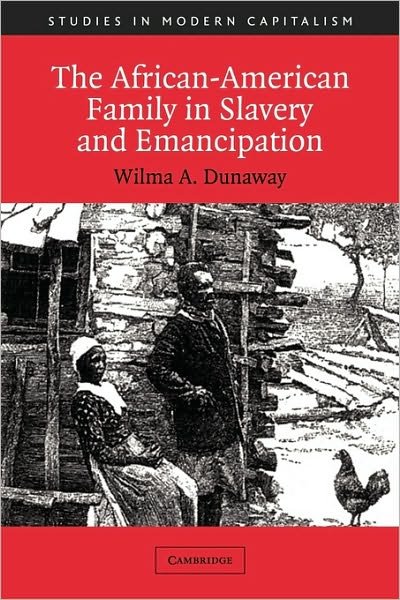 Cover for Dunaway, Wilma A. (Virginia Polytechnic Institute and State University) · The African-American Family in Slavery and Emancipation - Studies in Modern Capitalism (Paperback Book) (2003)
