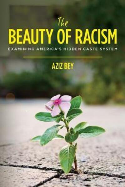 Cover for Aziz Bey · The Beauty of Racism : Examining America's Hidden Caste System (Pocketbok) (2017)