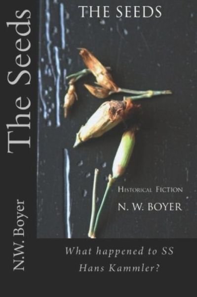 Cover for N W Boyer · The Seeds (Pocketbok) (2019)