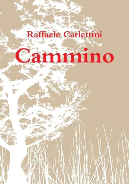 Cover for Raffaele Carlettini · Cammino (Paperback Book) [Italian edition] (2014)