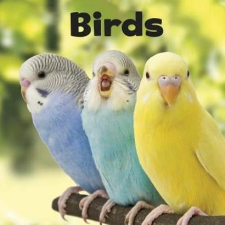 Cover for Lisa J. Amstutz · Birds - Our Pets (Hardcover Book) (2018)