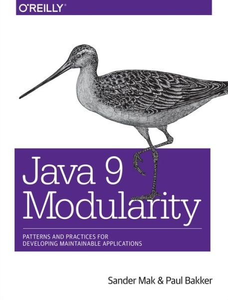 Sander Mak · Java 9 Modularity (Taschenbuch) (2017)