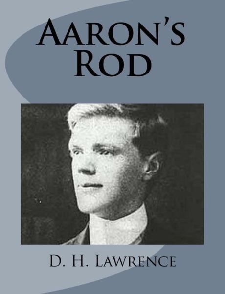 Aaron's Rod - D H Lawrence - Książki - Createspace - 9781499213164 - 22 kwietnia 2014