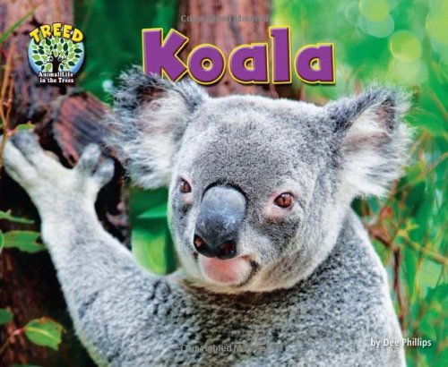 Cover for Dee Phillips · Koala (Science Slam: Treed-animal Life in the Trees) (Hardcover Book) (2013)