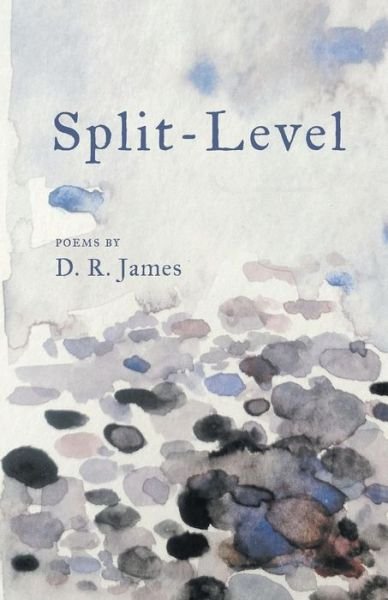 Cover for D James · Split-Level (Paperback Bog) (2017)