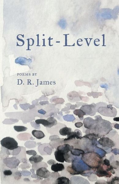 Cover for D James · Split-Level (Paperback Book) (2017)