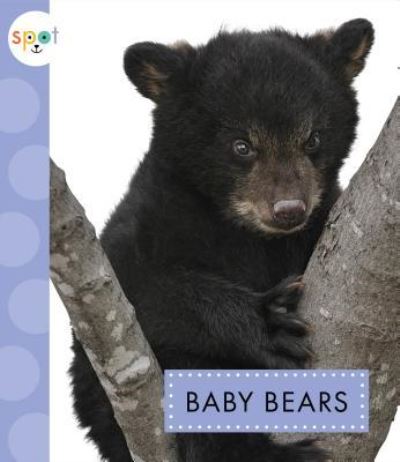 Baby Bears - K. C. Kelley - Książki - Amicus - 9781681513164 - 2018