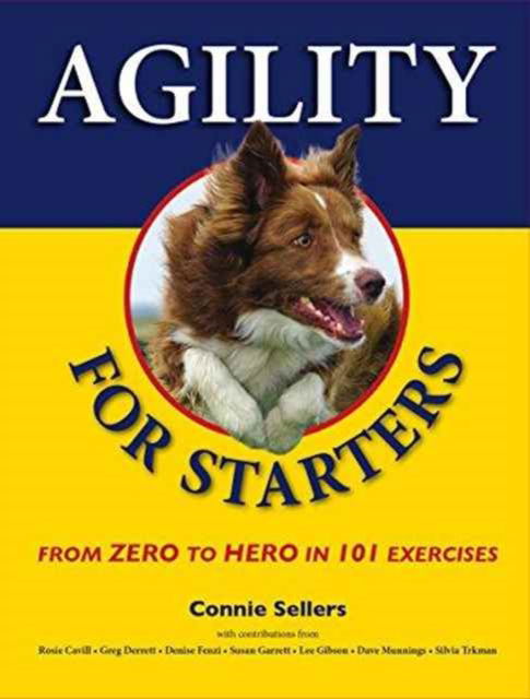 Agility for Starters: From Zero to Hero in 101 Exercises - Connie Sellers - Books - First Stone Publishing - 9781910488164 - December 1, 2016