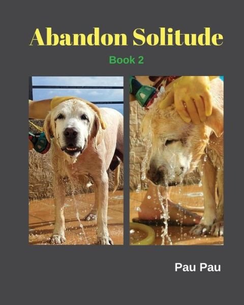 Cover for Pau Pau · Abandon Solitude Book 2 (Pocketbok) (2017)