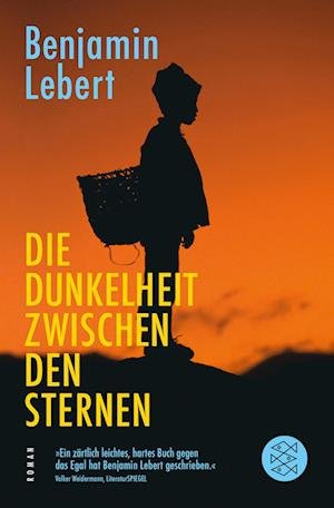 Cover for Benjamin Lebert · Fischer TB.29916 Lebert:Die Dunkelheit (Book)