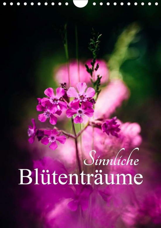 Cover for Mänz · Sinnliche Blütenträume (Wandkalend (Bok)