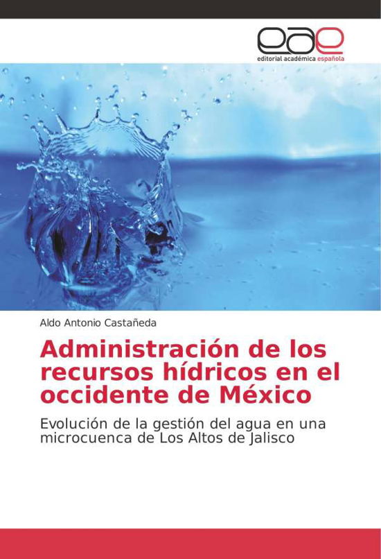 Cover for Castañeda · Administración de los recurso (Bok) (2018)