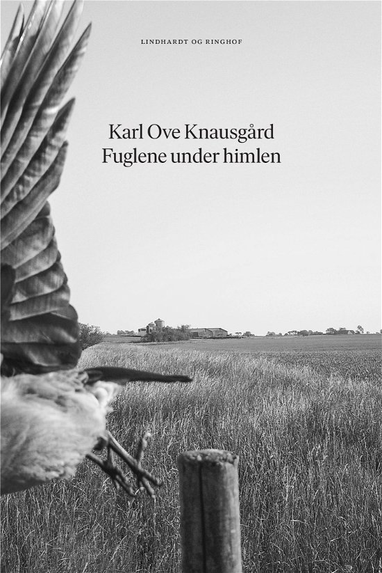 Karl Ove Knausgård · Fuglene under himlen (Bound Book) [1º edição] (2019)