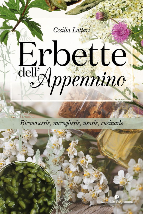 Cover for Cecilia Lattari · Erbette Dell'appennino. Riconoscerle, Raccoglierle, Usarle, Cucinarle (Book)