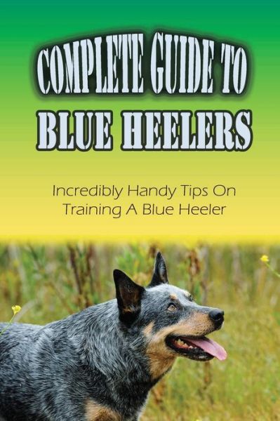 Cover for Lance Fellhauer · Complete Guide To Blue Heelers (Paperback Book) (2021)