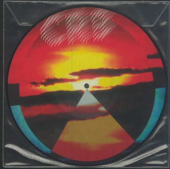Cover for Chris Robinson Brotherhood · RSD 2019 - Dice Game and Let It Fall (10&quot;) [Reissue edition] (2019)