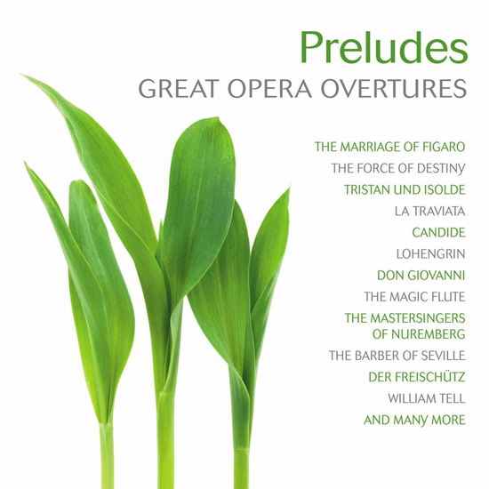 Cover for Various Artists · Preludes: Great Opera Overtures (CD) (2013)