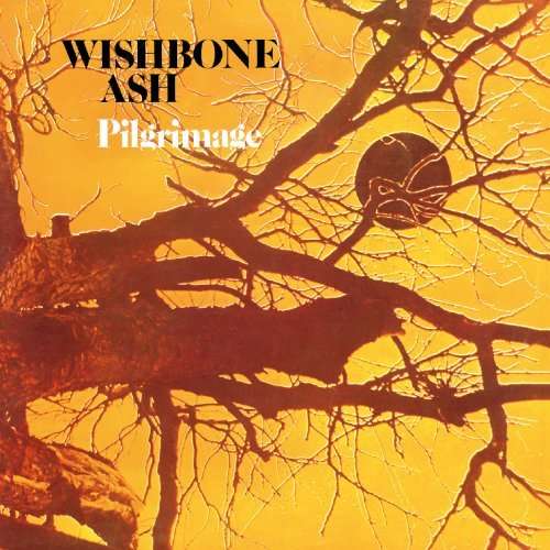 Pilgrimage - Wishbone Ash - Musik - UNIVERSAL - 4988005639165 - 4. Januar 2011