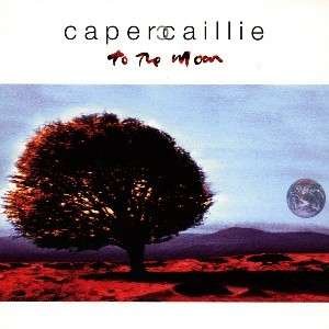 To the Moon - Capercaillie - Musik - SURVIVAL RECORDS - 5016925950165 - 11. april 1996